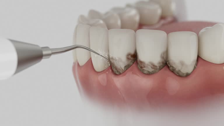 Reliable Dental contractor in Long Beach, MD by Dentist Open Now